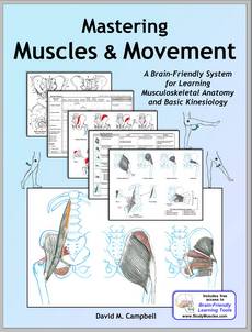 Mastering Muscles & Movement
