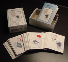 MusclePlus Flashcards