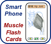 Smartphone Flashcards