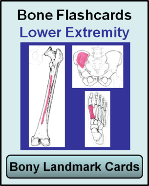 bone cards for lower extremity