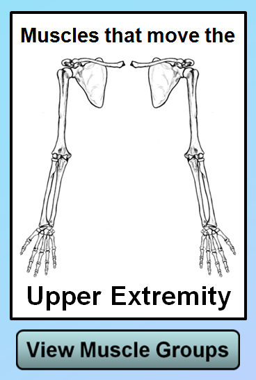 upper